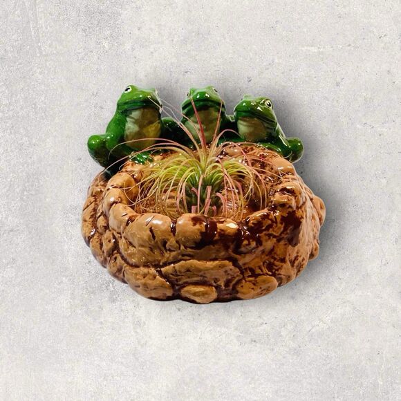 Three Frogs Ceramic Shallow Planter Trinket Dish Cardinal Designs Mold Glossy - Picture 4 of 6